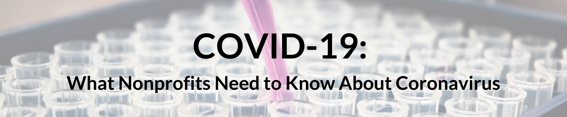 COVID-19: What Nonprofits Need to Know About Coronavirus